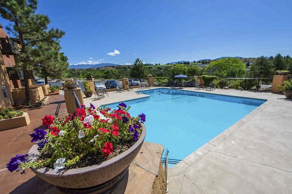 pool at The Mica Apartments