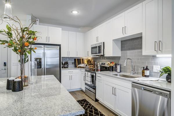 kitchen at Solis Gainesville Apartments