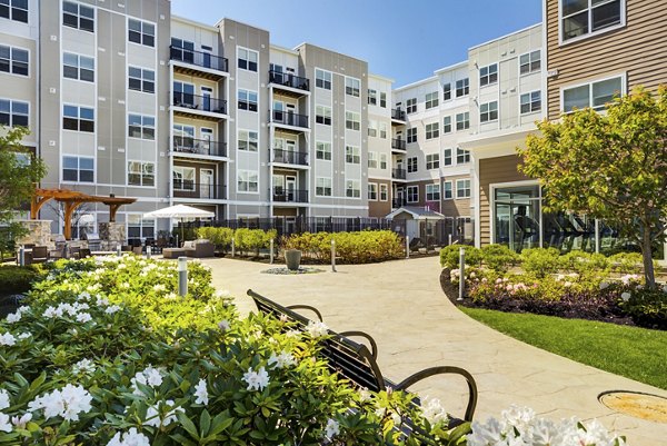 grill area at The Everly Apartments
