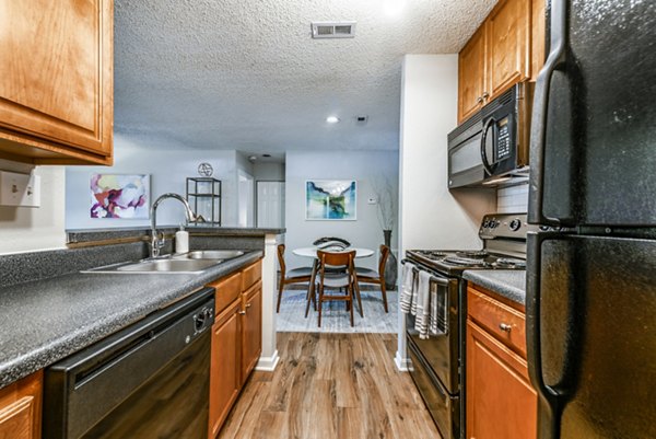 Modern kitchen with stainless steel appliances in Avana Copper Springs apartments