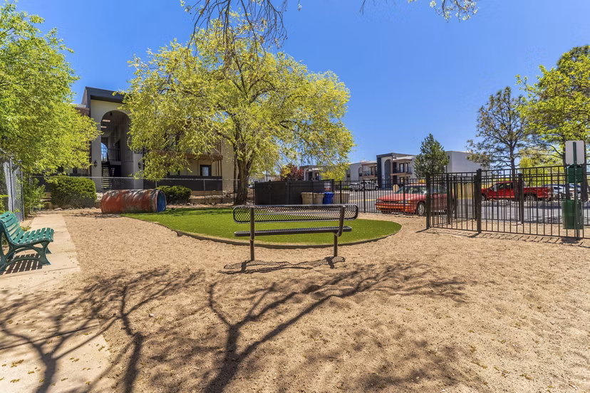 dog park at Local 1896 Apartments 