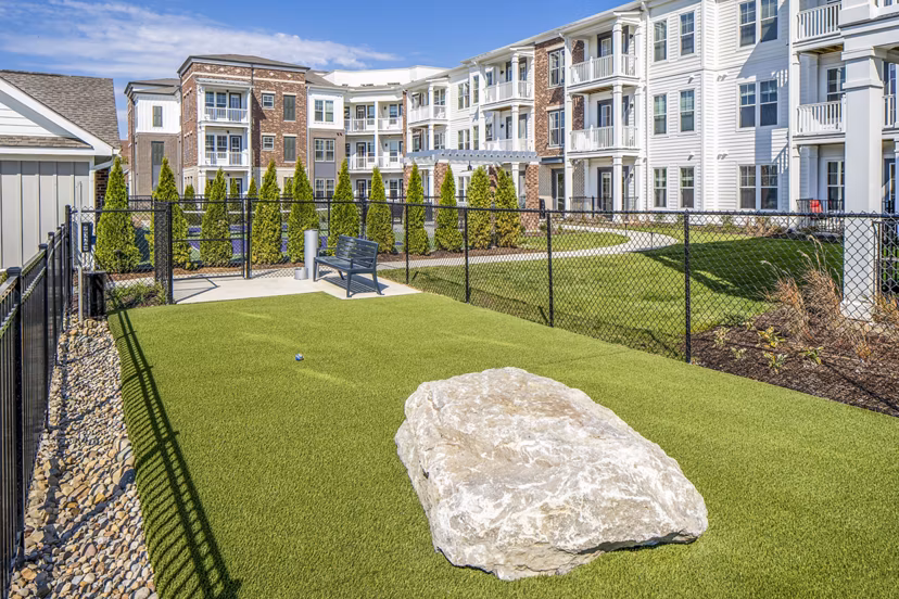 Dog park with agility equipment at Album Indian Lake Apartments