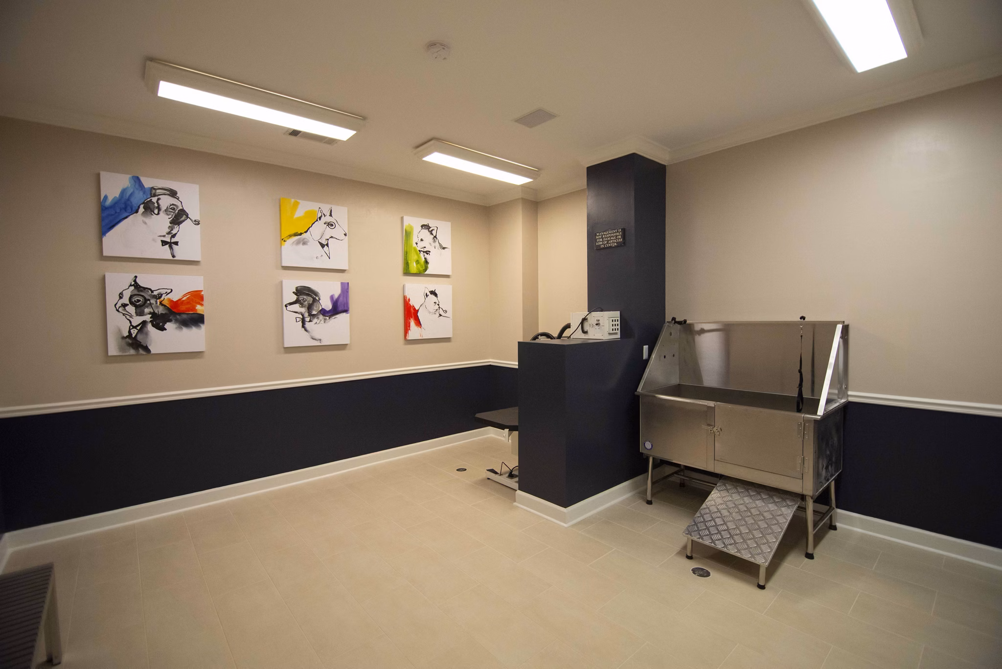 dog wash station at Avana Thornblade Apartments