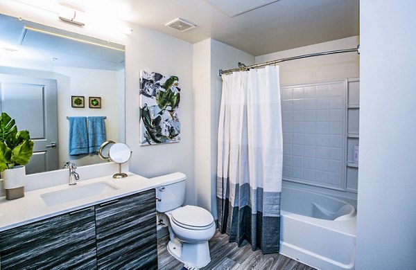 The Alcove Apartments: Contemporary high-rise luxury apartments in vibrant downtown location