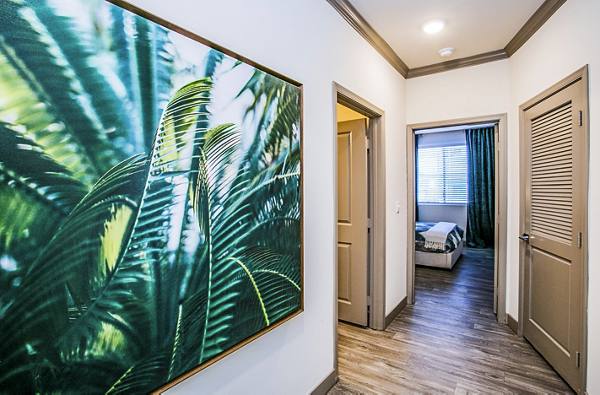 hallway at The Alcove Apartments