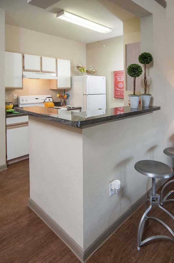 Spacious kitchen with modern appliances and sleek countertops at The Highline Apartments, offering luxury living experiences