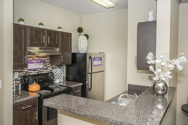 kitchen at The Highline Apartments