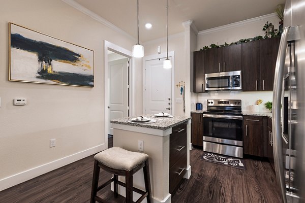 Kitchen at Ivy Point Kingwood Apartments