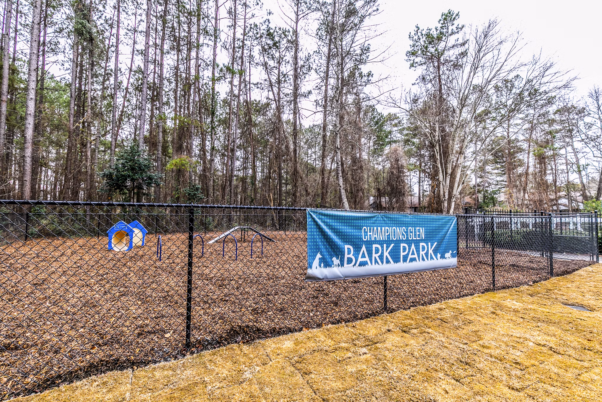 Dog park with agility equipment at Champions Glen Apartments, luxury pet-friendly community offering ample outdoor space for residents' pets