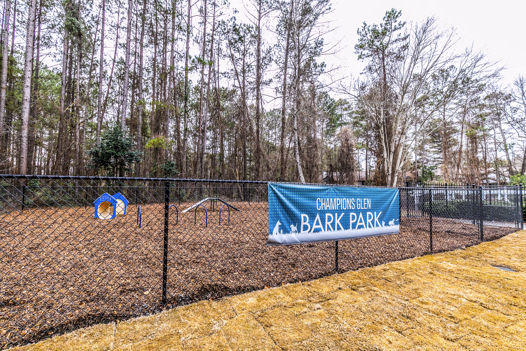 Dog park with agility equipment at Champions Glen Apartments, luxury pet-friendly community offering ample outdoor space for residents' pets