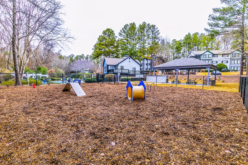Dog park with agility equipment at Champions Glen Apartments, ideal for pet-friendly living in a vibrant community