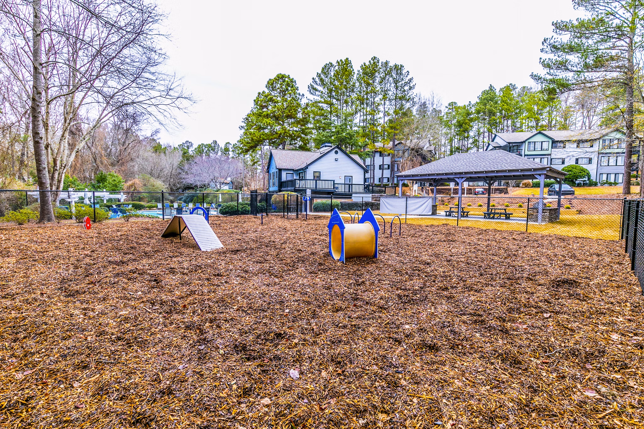 Dog park with agility equipment at Champions Glen Apartments, ideal for pet-friendly living in a vibrant community