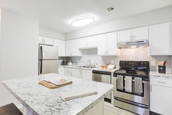 kitchen at Avana Collins Creek Apartments