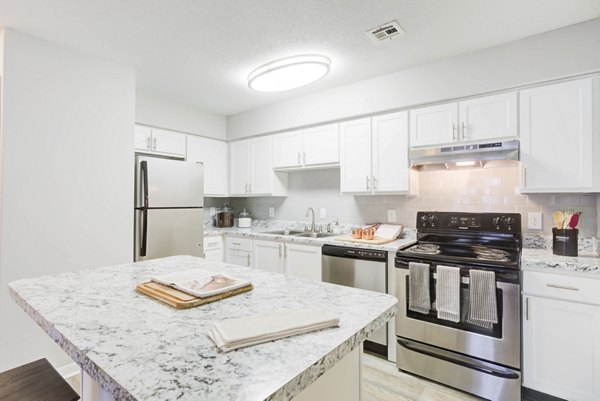 Modern kitchen with stainless steel appliances at Avana Collins Creek Apartments