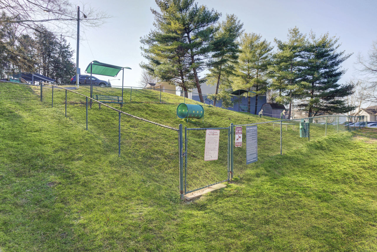 Dog park at Avana Collins Creek