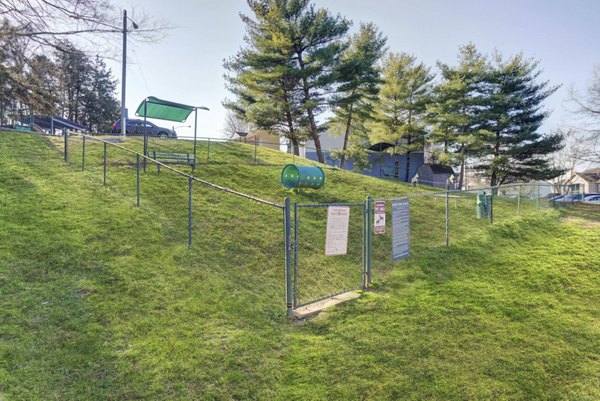 dog park at Avana Collins Creek Apartments