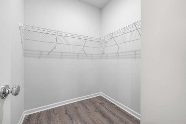 Spacious closet with ample storage space in Ashford Townes Apartments