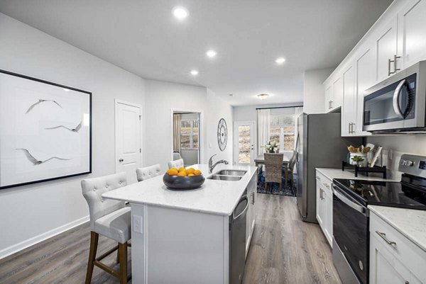 Modern kitchen with stainless steel appliances and granite countertops at Ashford Townes Apartments