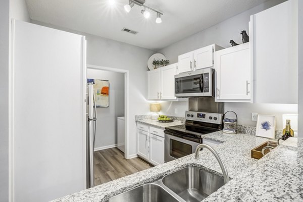 rendering at Avana Landing Apartments