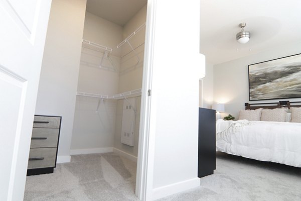 Walk-in closet with custom shelving in The Ravelle at Ridgeview Apartments