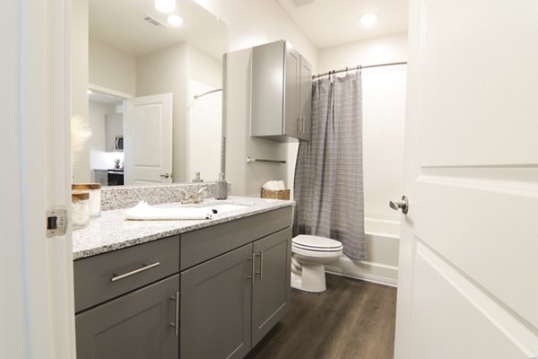 Luxury bathroom with modern fixtures and sleek vanity at The Ravelle at Ridgeview Apartments