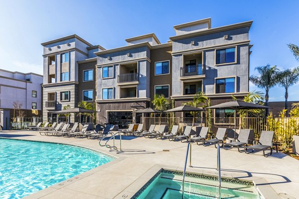 Infinity pool at Alcove Apartments with poolside lounge chairs and skyline views