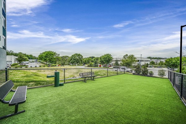 Dog park with agility equipment at Beckon Collective Apartments, perfect for resident pets