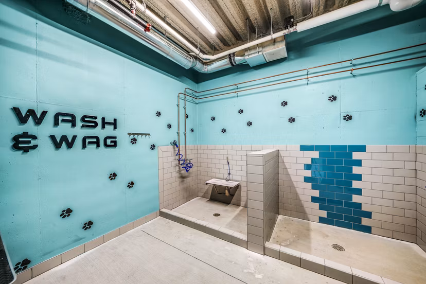 Beckon Collective Apartments: Modern dog wash station for resident pet care
