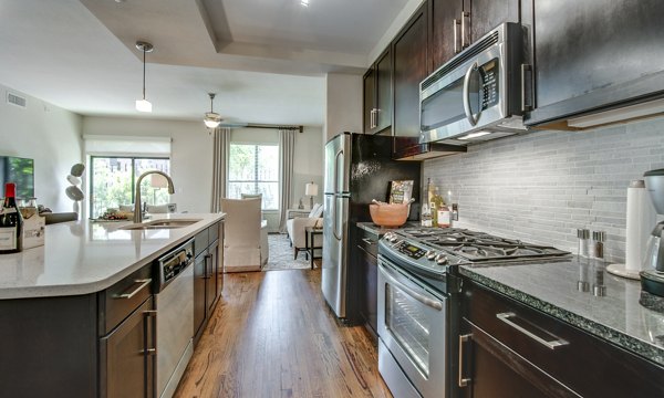 Modern kitchen featuring stainless steel appliances at 2900 West Dallas Apartments