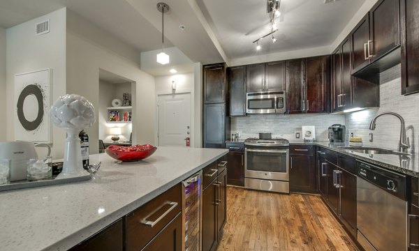Modern kitchen featuring sleek cabinetry and stainless steel appliances at 2900 West Dallas Apartments