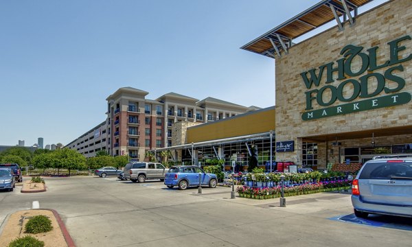 Charming neighborhood area at 2900 West Dallas Apartments with tree-lined streets and local shops nearby