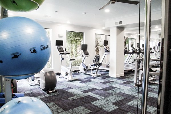 State-of-the-art fitness center with modern equipment at Jackson Hill Apartments luxury living