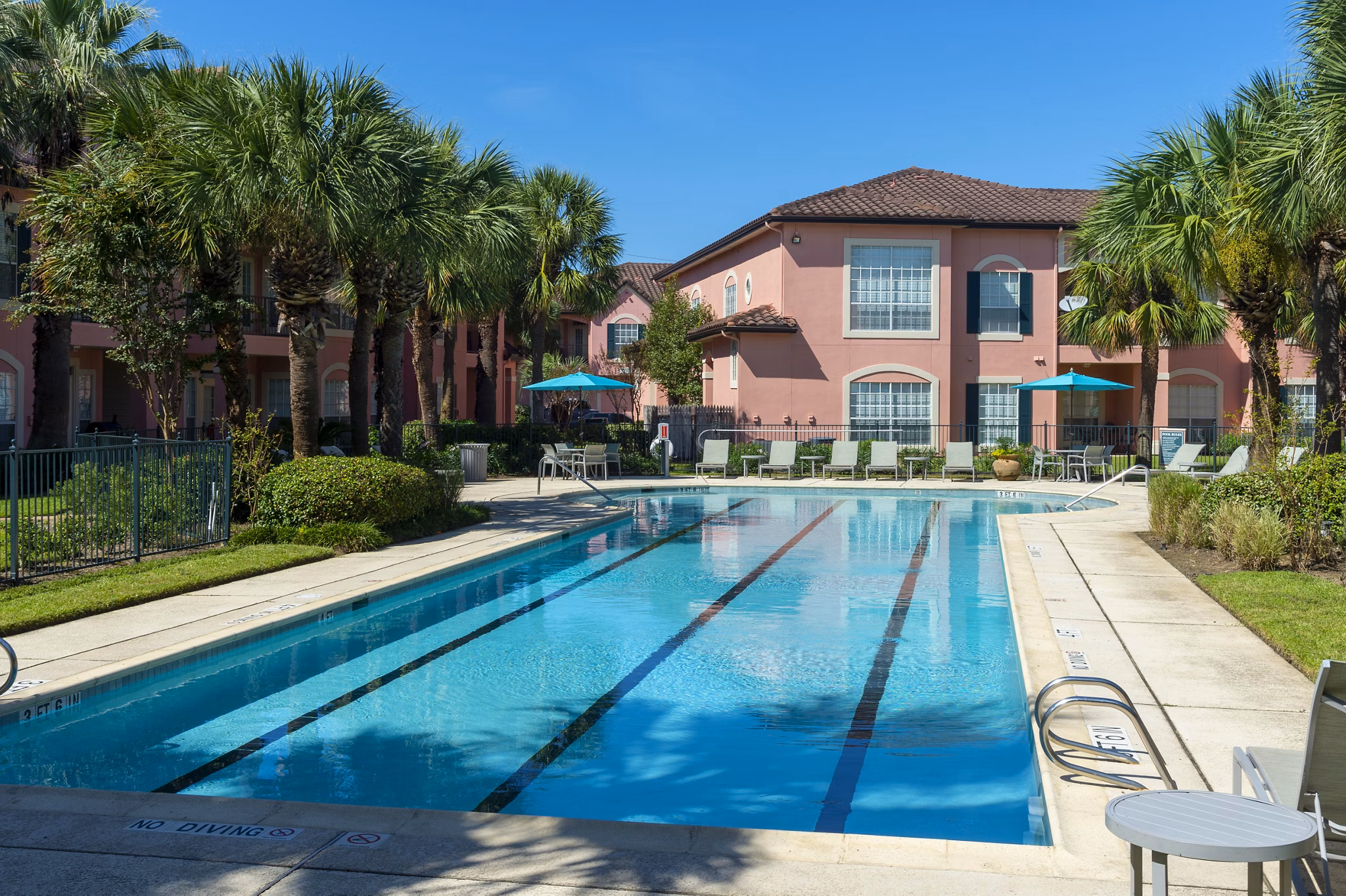 Resort-style pool with palm trees at Las Palmas Apartments, offering luxury outdoor relaxation spaces for residents