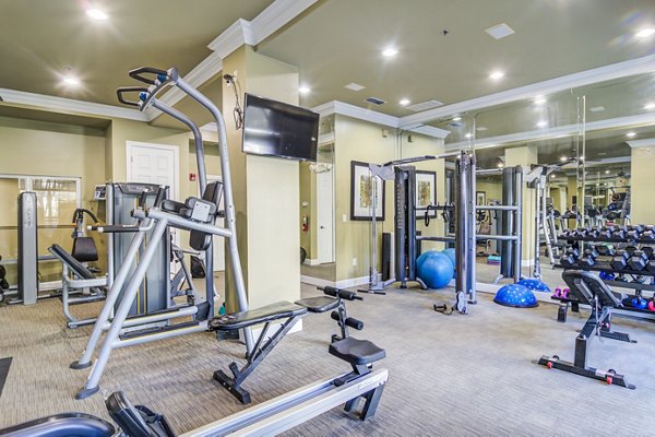 State-of-the-art fitness center with modern equipment at Phipps Place Apartments