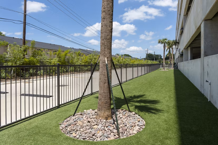 Spacious dog park with agility equipment at The Caroline Apartments, offering a pet-friendly environment for residents and their furry friends