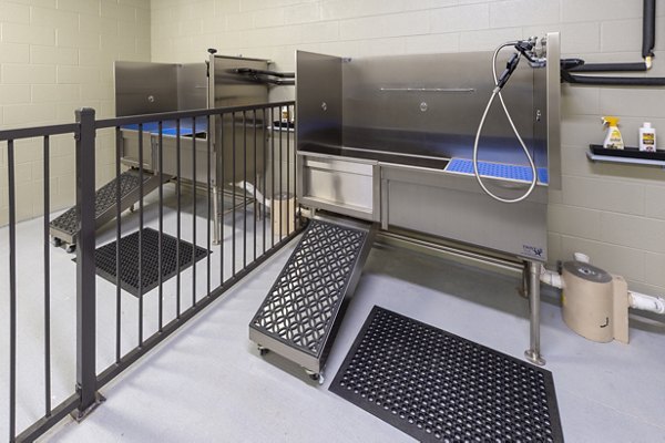 Dog wash station at The Caroline Apartments, a convenient pet amenity in luxury Greystar apartments, perfect for pet lovers in urban settings