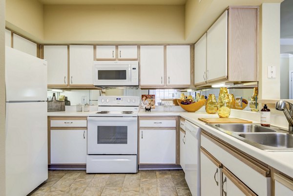 Modern kitchen with stainless steel appliances at The Park at Armand Bayou Apartments