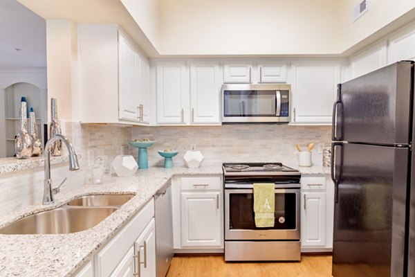 Modern kitchen with stainless steel appliances at The Park at Armand Bayou Apartments, offering residents luxury living and convenience