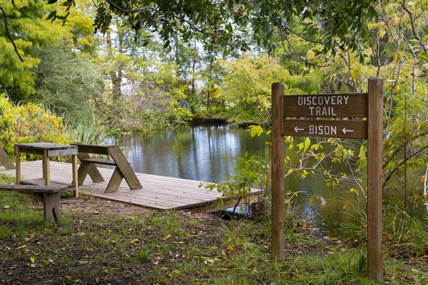 neighborhood at The Park at Armand Bayou Apartments