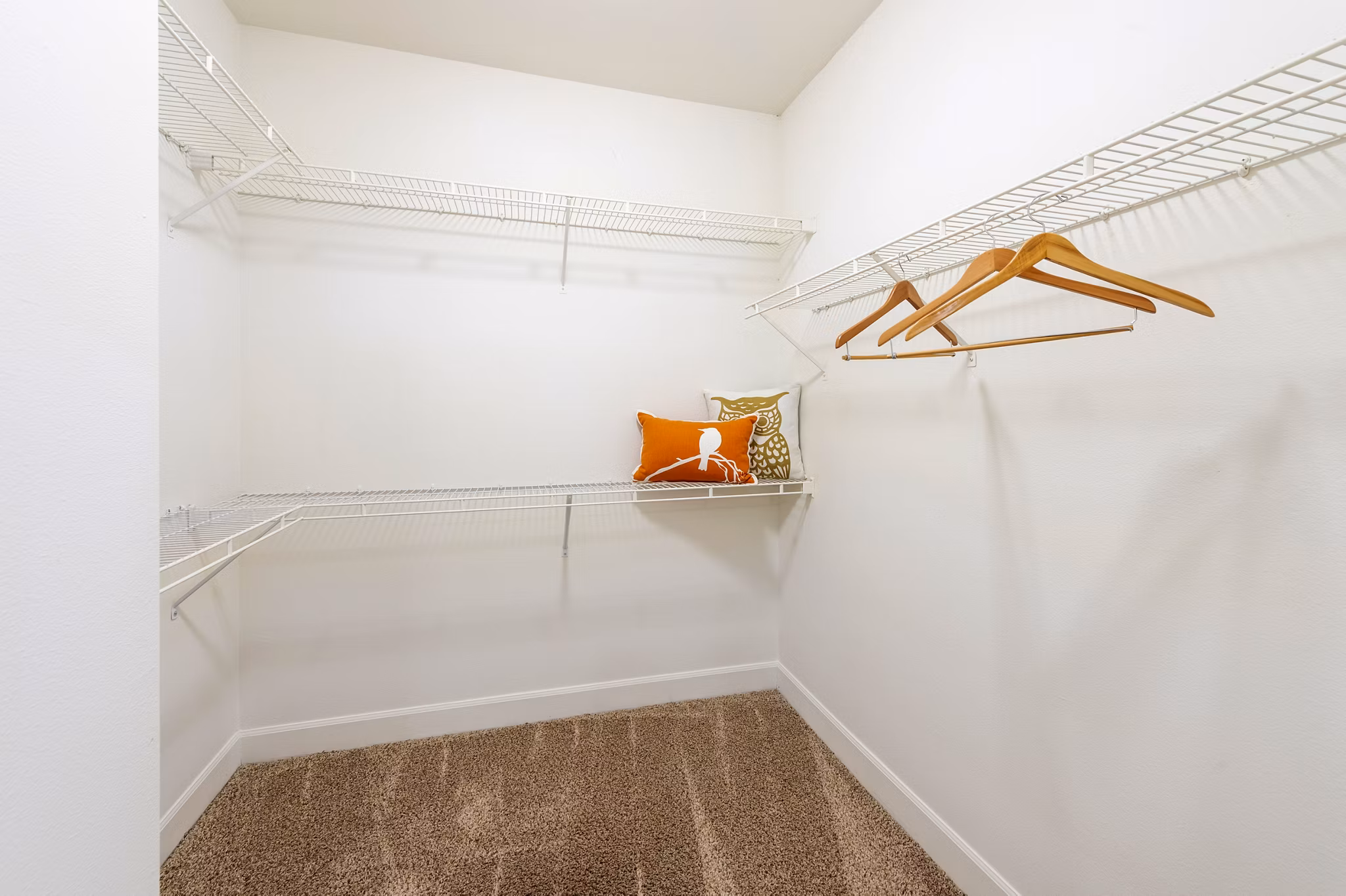 Spacious closet with built-in shelving in The Park on Memorial Apartments