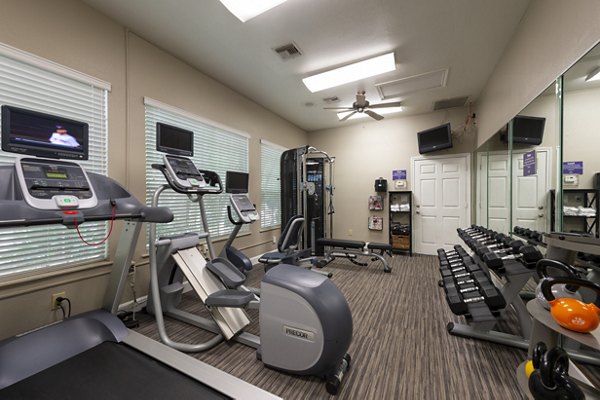 fitness center at The Park on Memorial Apartments