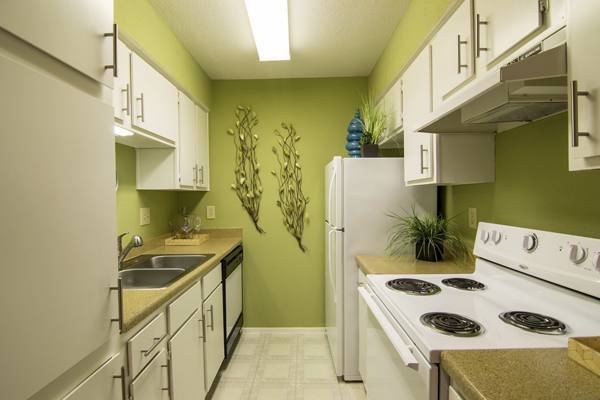 kitchen at The Pines of Woodforest Apartments