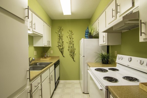 Modern kitchen with stainless steel appliances in The Pines of Woodforest Apartments