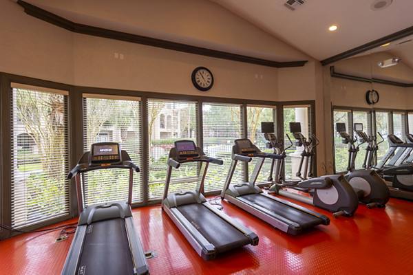 fitness center at Village on the Lake Apartments
