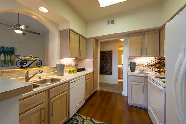 kitchen at Village on the Lake Apartments 