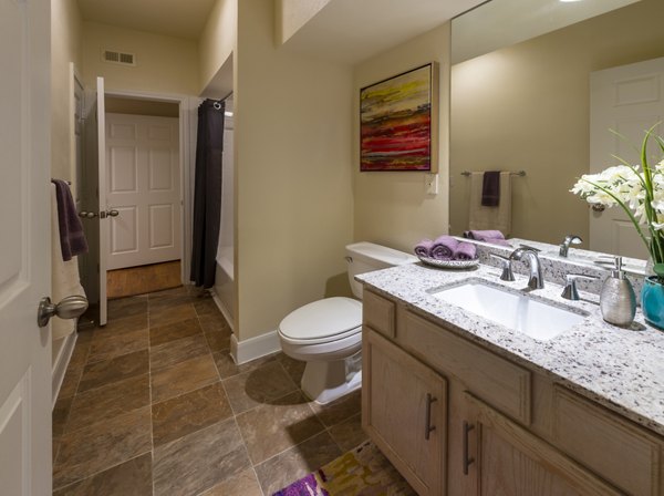 bathroom at The Village at West University Apartments
