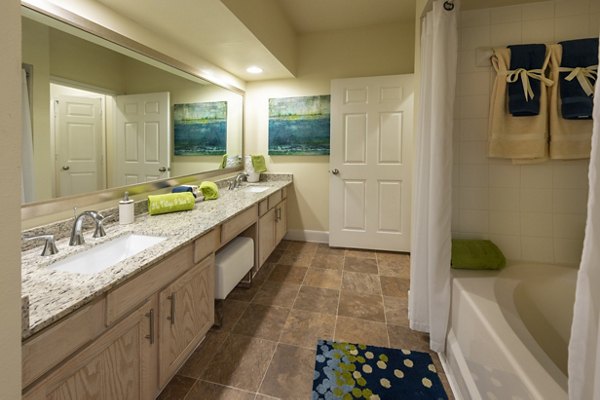 Spacious bathroom with modern fixtures at The Village at West University Apartments, featuring luxury design elements