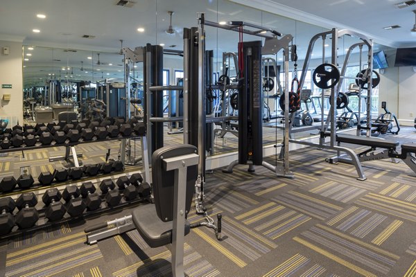 fitness center at The Village at West University Apartments
