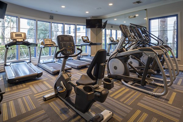 State-of-the-art fitness center at The Village at West University Apartments with cardio machines and strength training equipment