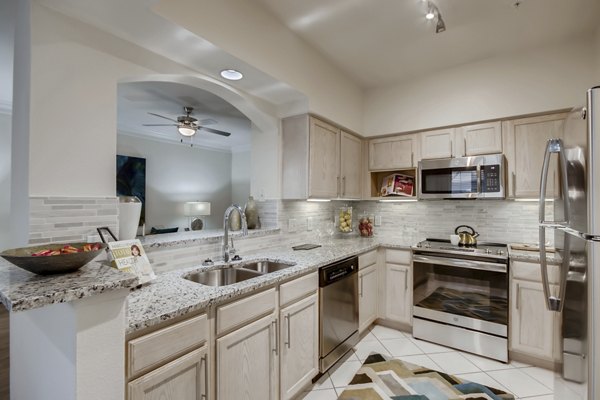 Modern kitchen with stainless steel appliances at The Village at West University Apartments